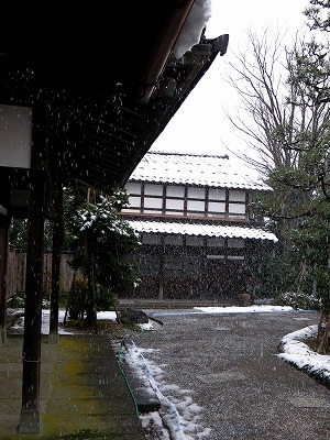 s-IMG_2070s.jpg