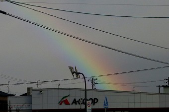 s-IMG_2129s.jpg