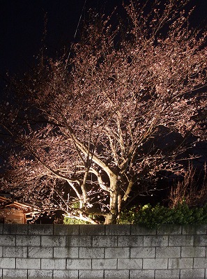 s-IMG_2157m.jpg