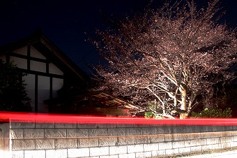 s-IMG_2163m.jpg
