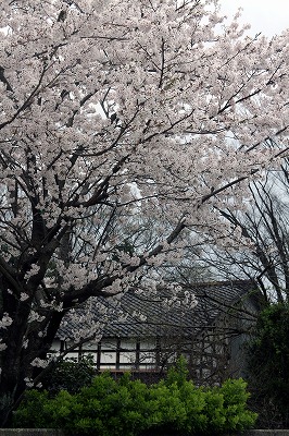 s-IMG_2252m.jpg