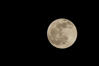 s-IMG_2286m.jpg