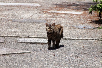 s-IMG_2442m.jpg