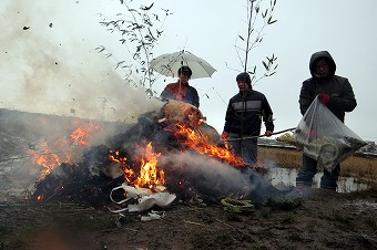 s-IMG_2489s.jpg