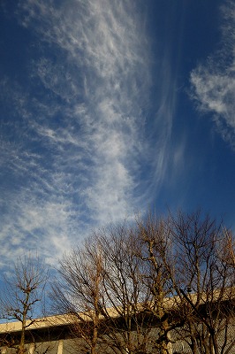 s-IMG_2524s.jpg