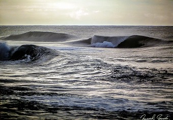 s-IMG_2531s.jpg