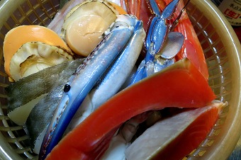 s-IMG_2545s.jpg