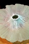 s-IMG_2776s.jpg