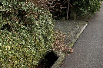 s-IMG_2881s.jpg