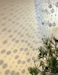 s-IMG_2986s.jpg