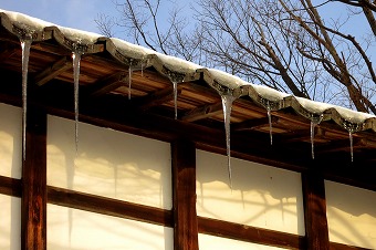 s-IMG_3225s.jpg