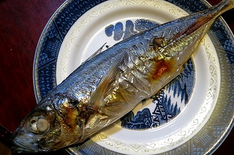 s-IMG_3589s.jpg