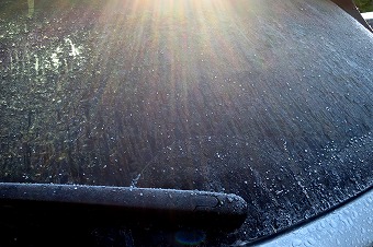 s-IMG_3790s.jpg