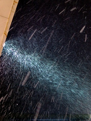 s-IMG_3872s.jpg