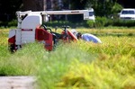 s-IMG_4023k.jpg