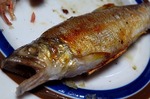 s-IMG_4516s.jpg