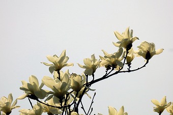 s-IMG_4573s.jpg