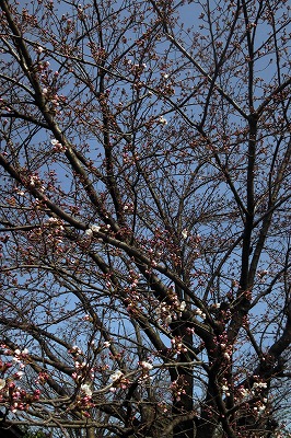 s-IMG_4633s.jpg