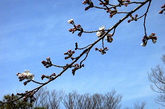 s-IMG_4659s.jpg