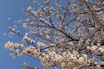 s-IMG_4748s.jpg
