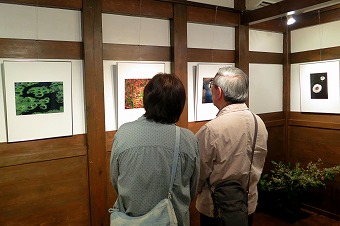 s-IMG_4765s.jpg