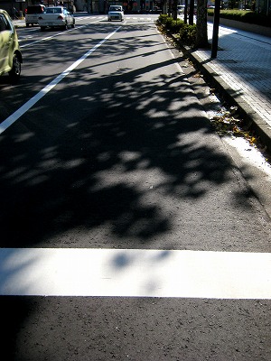 s-IMG_4864y.jpg