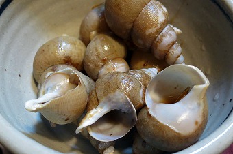 s-IMG_5095s.jpg