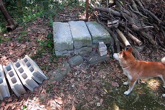 s-IMG_5278s.jpg