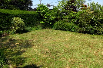 s-IMG_5466s.jpg