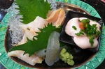 s-IMG_5499s.jpg