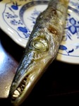 s-IMG_7688s.jpg