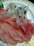 s-IMG_7958s.jpg