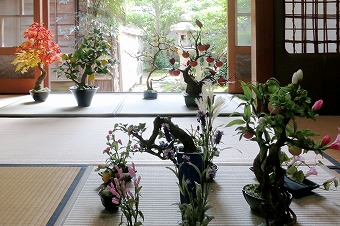 s-IMG_8216s.jpg
