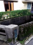 s-IMG_8418s.jpg