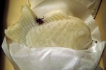 s-IMG_9249y.jpg