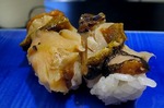 s-IMG_9462s.jpg
