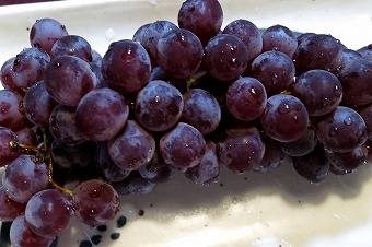 s-IMG_9560s.jpg
