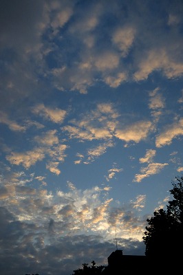 s-IMG_9676s.jpg