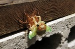 s-IMG_9802s.jpg