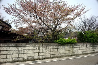 s-L1005707b.jpg
