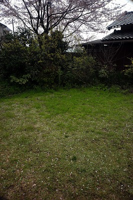 s-L1005718b.jpg