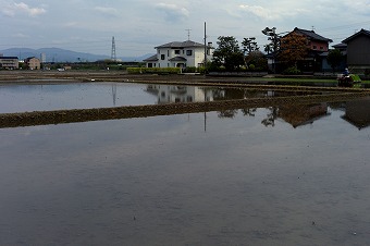 s-L1005797b2.jpg