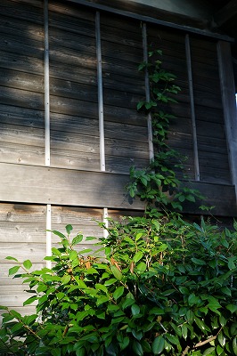 s-L1005994l.jpg