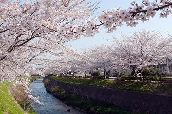 s-L1090744p.jpg
