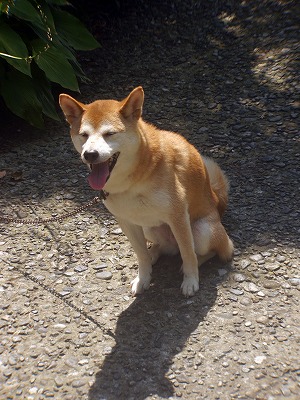 s-P1000003b.jpg
