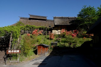 s-P1000084g.jpg