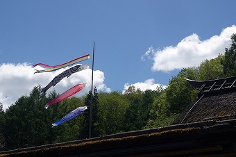s-P1000109g.jpg