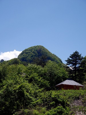 s-P1000113g.jpg
