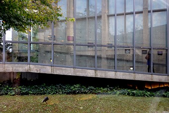 s-P1000269L.jpg