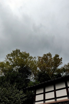 s-P1000365L.jpg